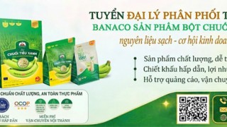 TUYỂN ĐẠI LÝ PHÂN PHỐI BỘT CHUỐI TIÊU XANH CÔNG TY CỔ PHẦN BANACO TRÊN TOÀN QUỐC!