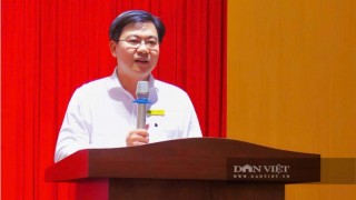 PGS.TS Kha Chấn Tuyền: Bột chuối xanh không thể bán bằng niềm tin, phải được chứng minh bằng khoa học