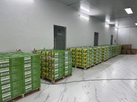 Hàng xuất khẩu đi các nước