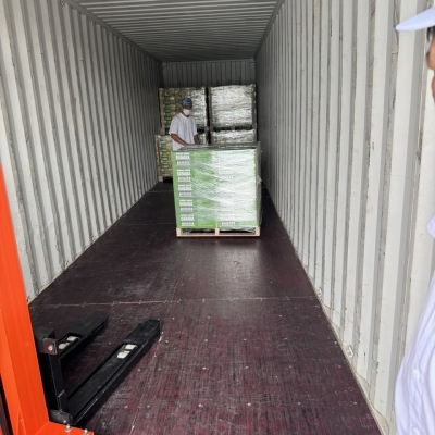 Sản phẩm chuối sấy dẻo đã và đang xuất khẩu sang thị trường Châu Âu, Nhật Bản, Hàn Quốc và Úc