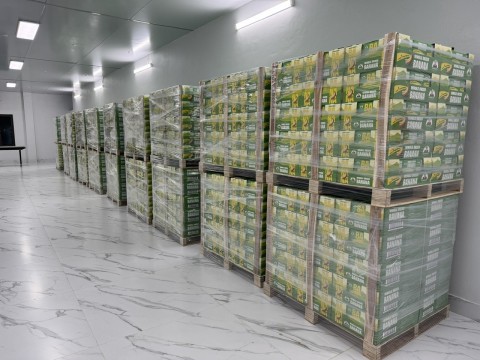 Hàng xuất khẩu đi các nước