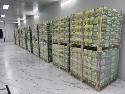 Hàng xuất khẩu đi các nước