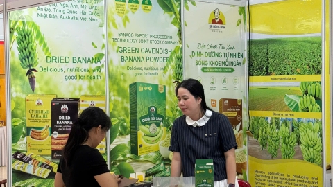 International Trade, Tourism and Investment Fair (EWEC - Da Nang 2026)