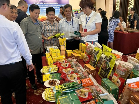 Hội nghị kết nối xúc tiến xuất khẩu nông, lâm, thủy sản năm 2026
