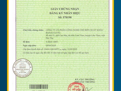 Các chứng chỉ đạt được