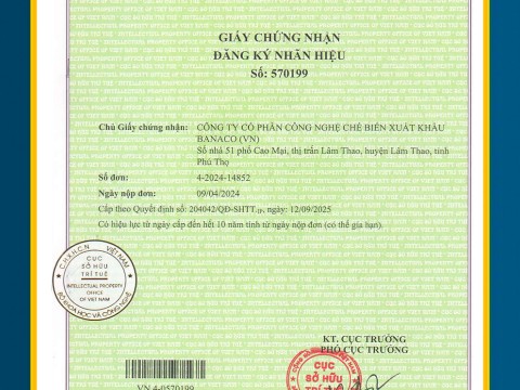 Các chứng chỉ đạt được