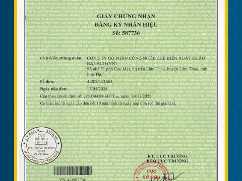 Các chứng chỉ đạt được