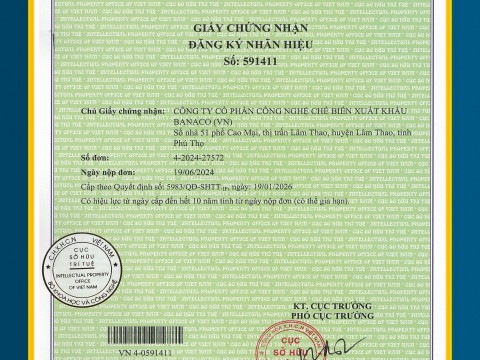 Các chứng chỉ đạt được