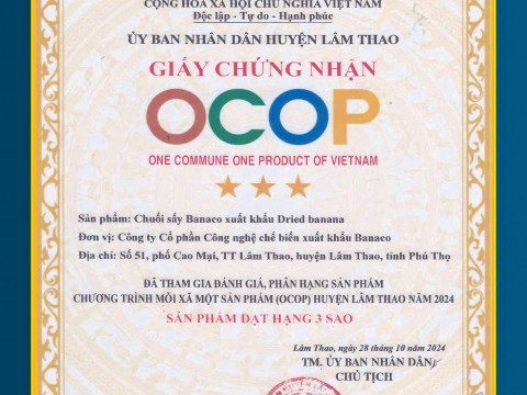 Các chứng chỉ đạt được