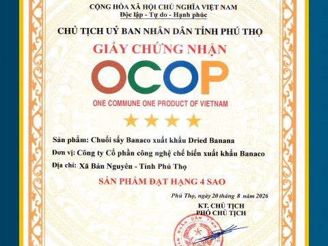 Các chứng chỉ đạt được