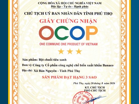Các chứng chỉ đạt được