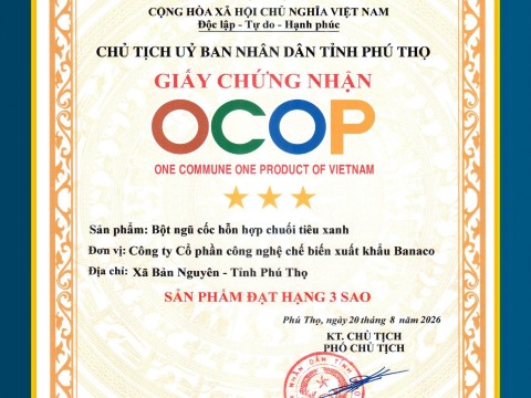 Các chứng chỉ đạt được