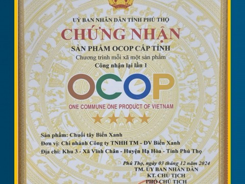 Các chứng chỉ đạt được