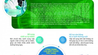 Cơ sở khoa học của tinh bột kháng từ chuối tiêu xanh tự nhiên