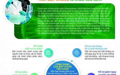 Cơ sở khoa học của tinh bột kháng từ chuối tiêu xanh tự nhiên