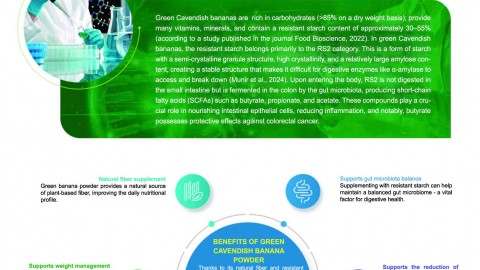 SCIENTIFIC BASIS OF RESISTANT STARCH FROM NATURAL GREEN CAVENDISH BANANAS