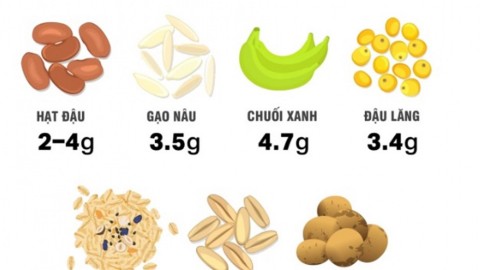 TINH BỘT KHÁNG TỪ CHUỐI TIÊU HỒNG: GIẢI PHÁP GIÁ TRỊ GIA TĂNG VÀ ỨNG DỤNG SỨC KHỎE