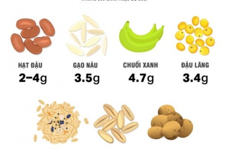 TINH BỘT KHÁNG TỪ CHUỐI TIÊU HỒNG: GIẢI PHÁP GIÁ TRỊ GIA TĂNG VÀ ỨNG DỤNG SỨC KHỎE