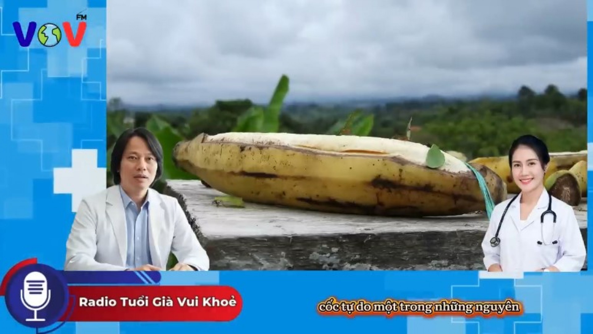 Về chúng tôi